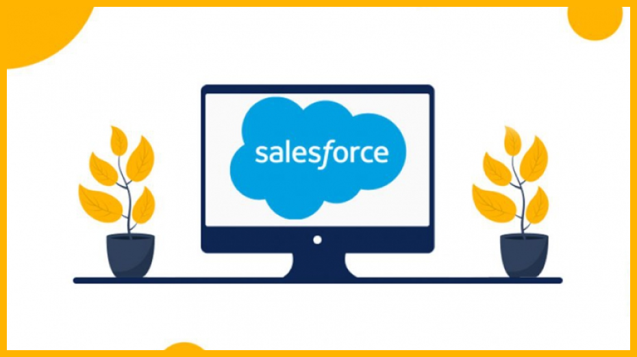 Salesforce-Commission-Software-For-Sales-Organizations